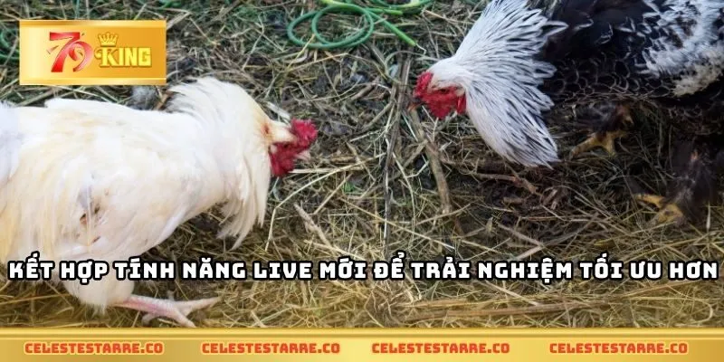 Kết hợp tính năng live mới để trải nghiệm tối ưu hơn