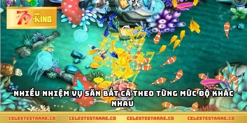 Nhiều nhiệm vụ săn bắt cá theo từng mức độ khác nhau