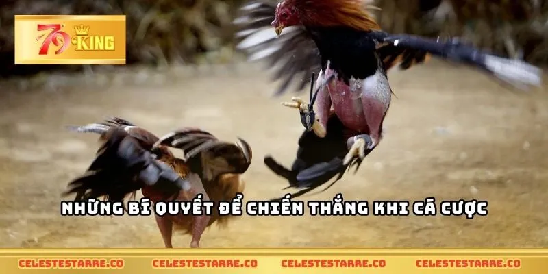 Những bí quyết để chiến thắng khi cá cược